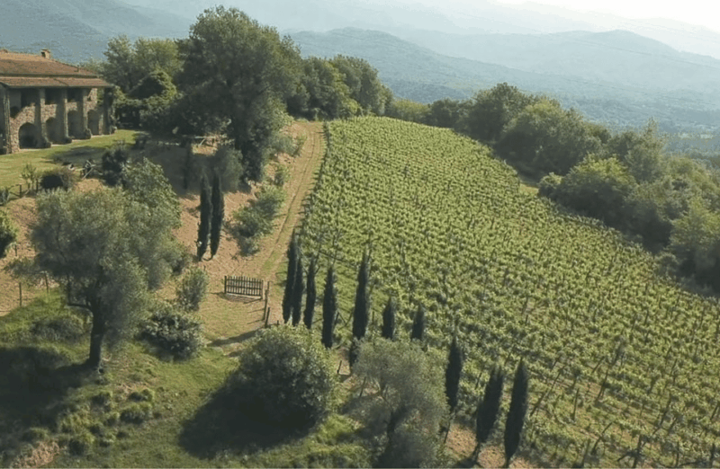 boutique-winery-tour-tasting-in-north-tuscany