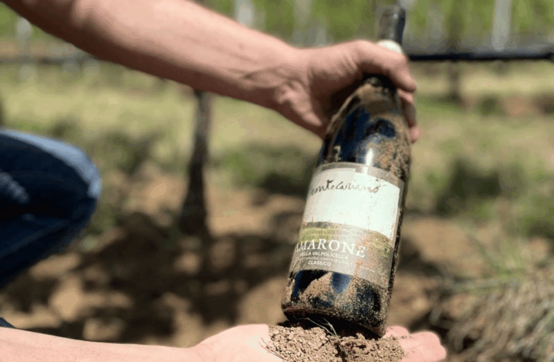 boutique-winery-tour-tasting-in-valpolicella