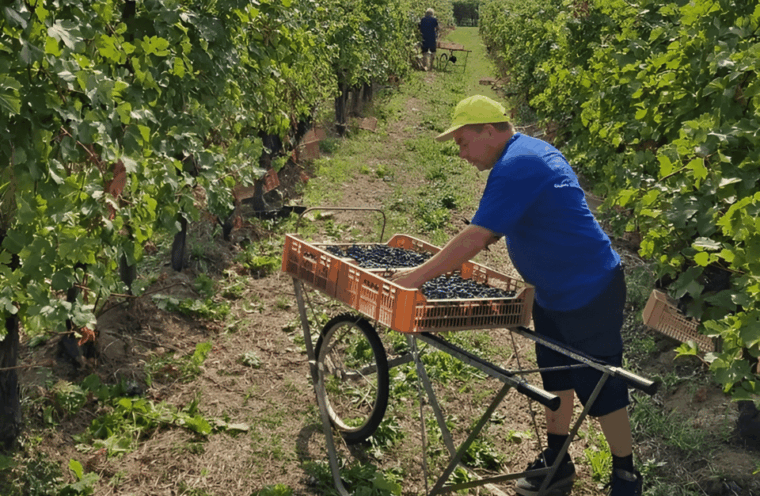 boutique-winery-tour-tasting-in-valpolicella