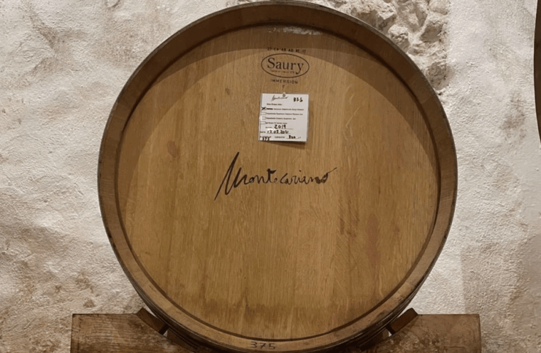 boutique-winery-tour-tasting-in-valpolicella