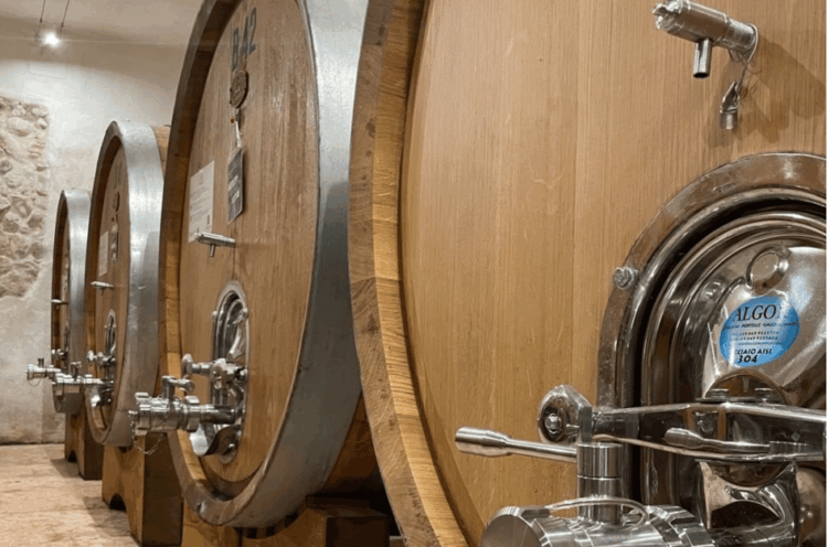 boutique-winery-tour-tasting-in-valpolicella