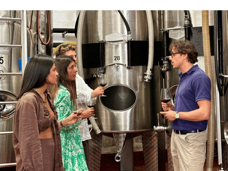Boutique Winery Tour with Wine Tasting & Food in Bologna - What’s Included & What’s Not?