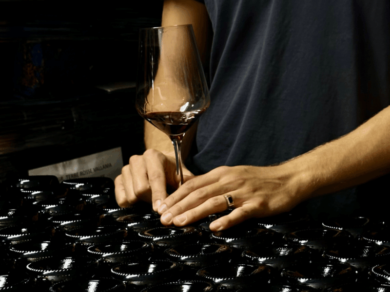 boutique-winery-tour-with-wine-tasting-food-in-bologna