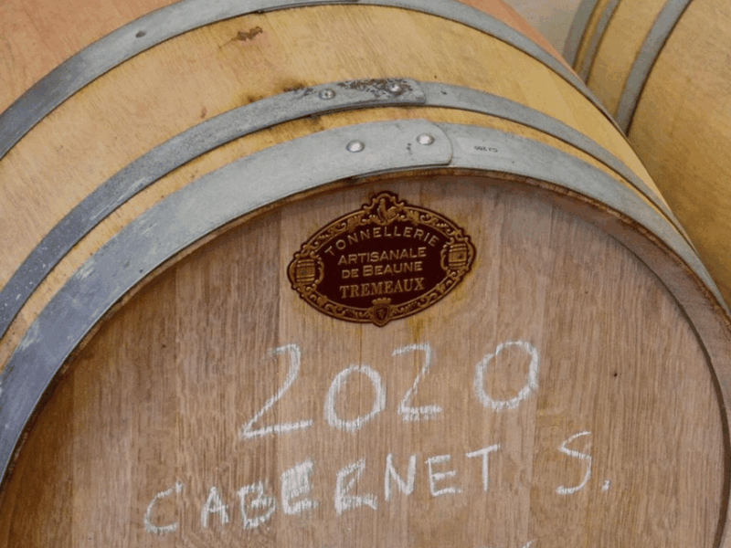 boutique-winery-tour-with-wine-tasting-food-in-bologna