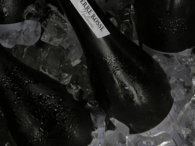 boutique-winery-tour-with-wine-tasting-food-in-bologna