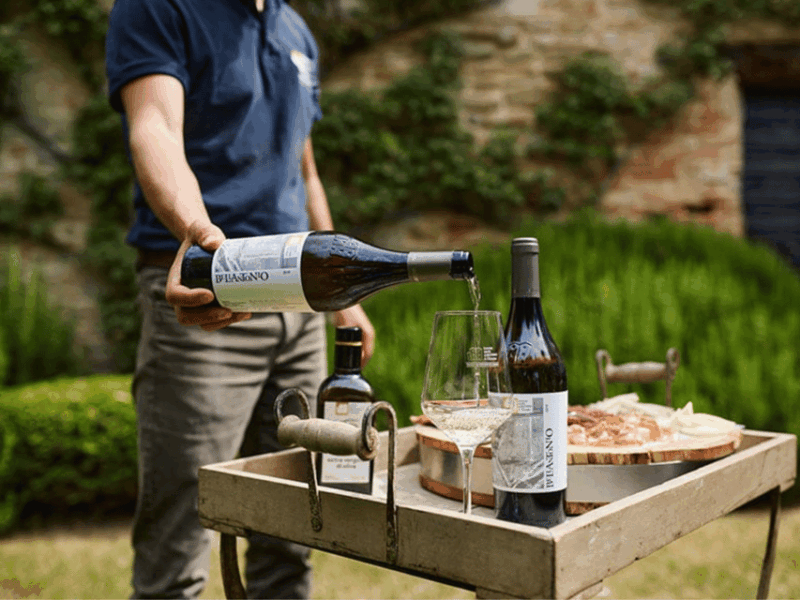 boutique-winery-visit-5-organic-wine-tastings-near-urbino