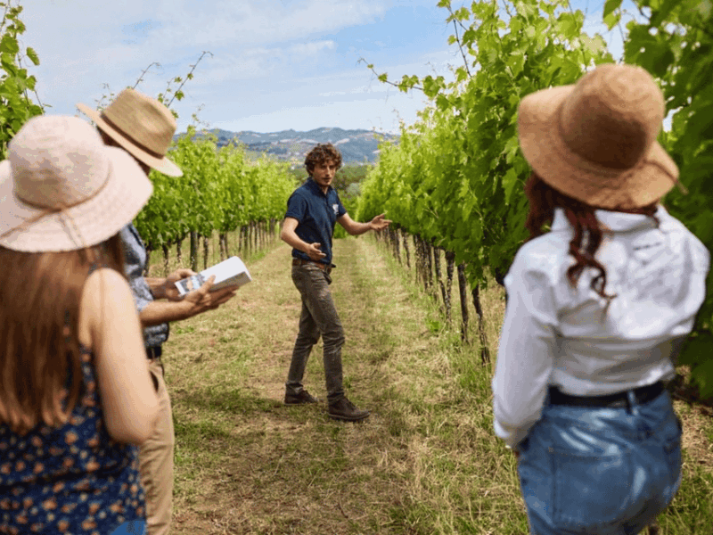 boutique-winery-visit-5-organic-wine-tastings-near-urbino