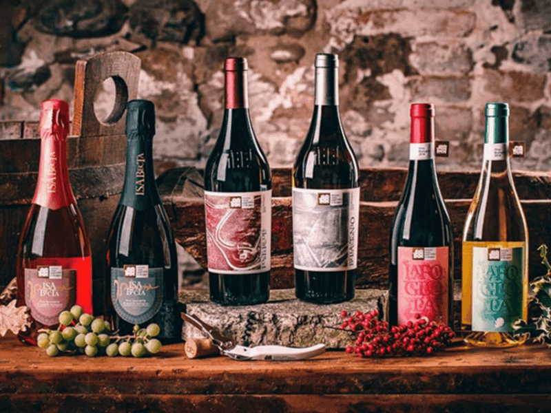 boutique-winery-visit-5-organic-wine-tastings-near-urbino