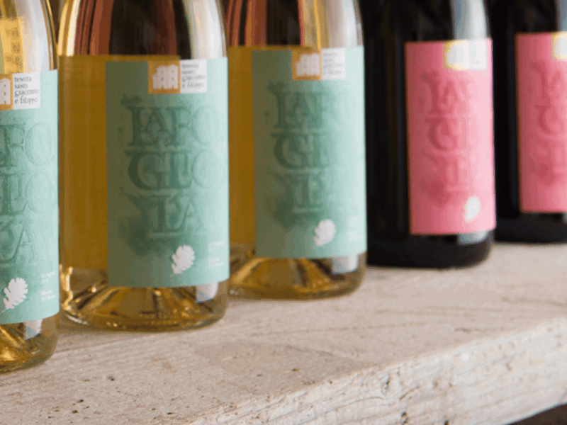 boutique-winery-visit-5-organic-wine-tastings-near-urbino