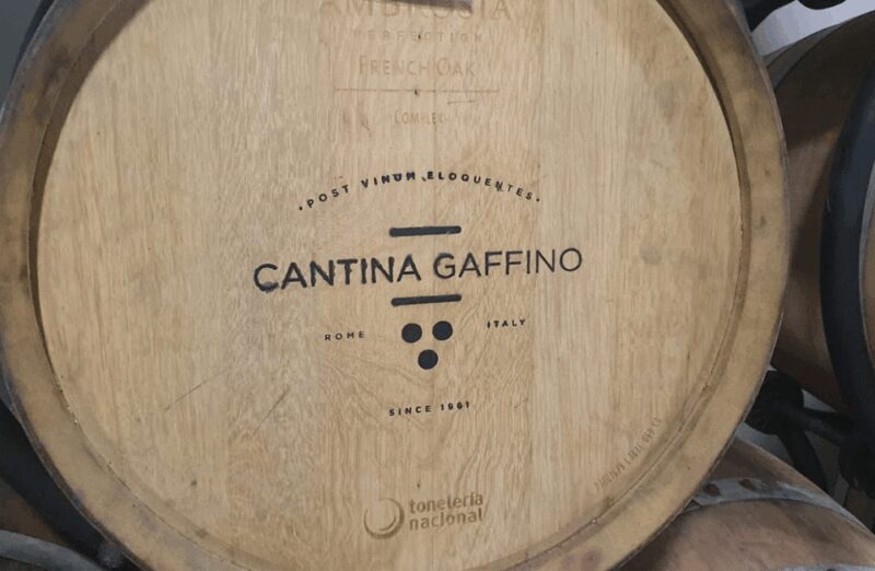 Boutique Winery Visit & Tasting near Rome - What to Expect from Your Winery Experience