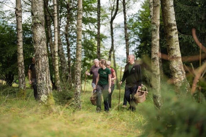 Bovec: Mushroom Picking and Culinary Session - Key Points