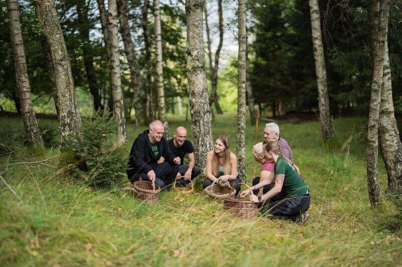 Bovec: Mushroom Picking and Culinary Session - Final Thoughts: Is This Tour Worth It?