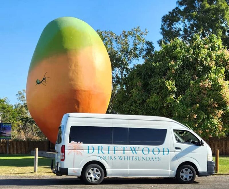 Bowen Beaches & Discovery: Top of the Whitsundays - Why This Tour Offers Great Value