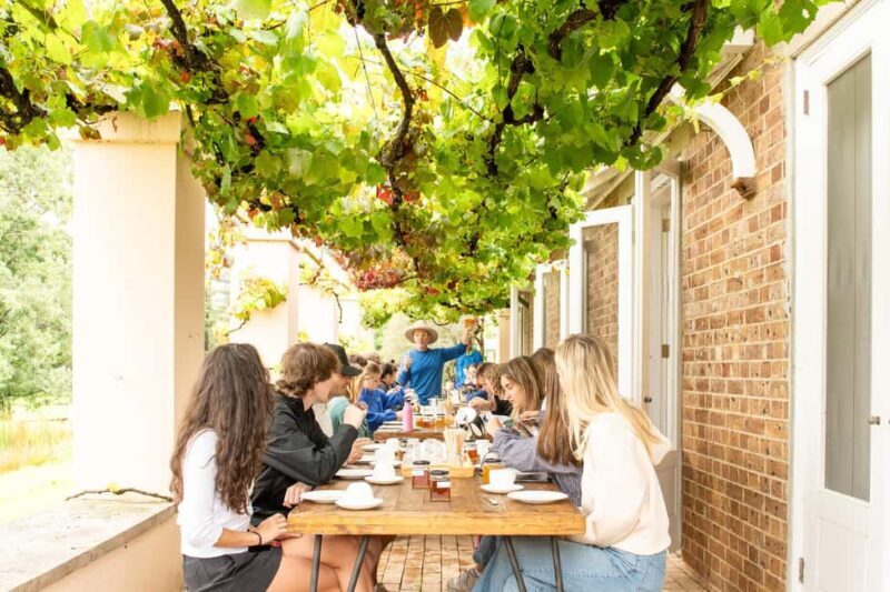 Bowral Honey Farm Tour, Honey Tasting & morning Tea - Authentic Experiences Shared by Visitors