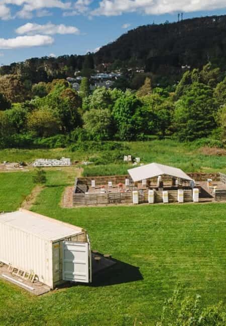 Bowral: Honey Tasting and Hive Opening with Morning Tea - Key Points