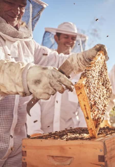 Bowral: Honey Tasting and Hive Opening with Morning Tea - Exploring the Bowral Honey Tasting and Hive Opening Experience