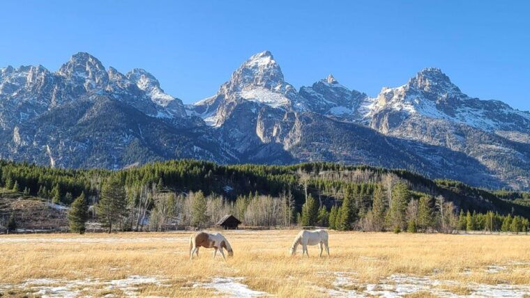 bozeman-yellowstone-grand-teton-national-park-with-hotel