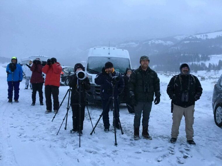 bozeman-yellowstone-wolves-and-winter-4day-3night-adventure
