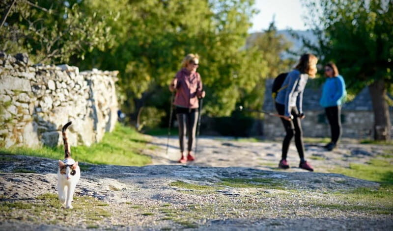 Bra island: Hiking Vidova gora krip Museum of olive oil - Why This Tour Is Worth Your Time