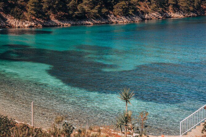 Brac, Hvar, & Solta Day Trip: Snorkeling, Wine & Lunch from Split - Final Thoughts