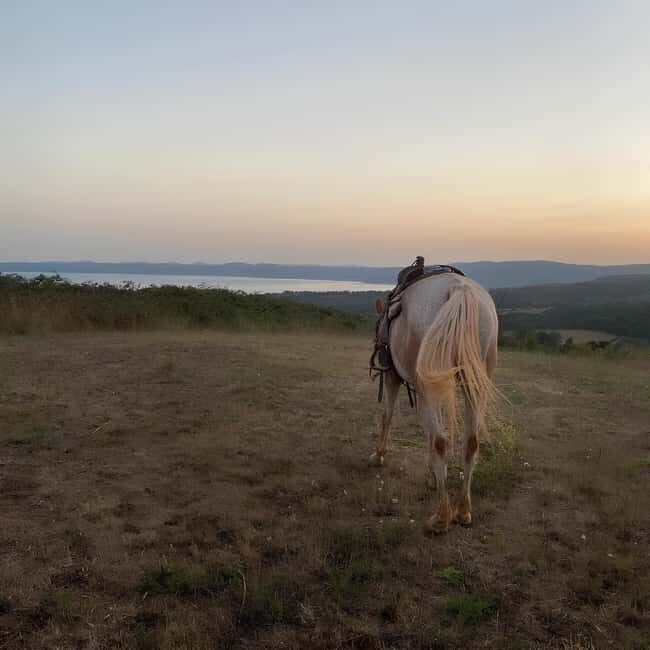 Bracciano: Horseback Ride in the Tolfa Mountains - Key Points