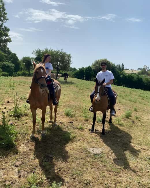 Bracciano: Horseback Ride in the Tolfa Mountains - The Sum Up