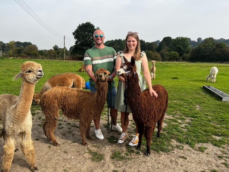 brackenfield-alpaca-trek