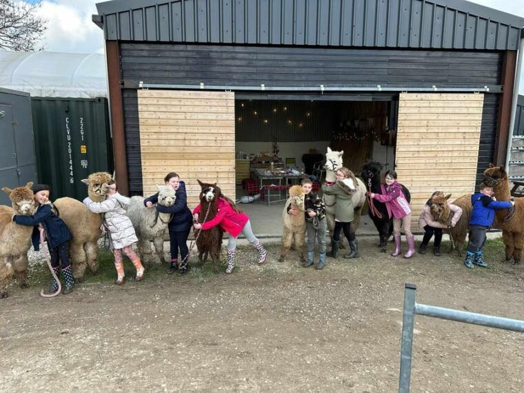 brackenfield-alpaca-trek