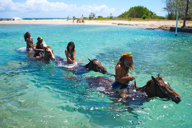 braco-stables-horseback-ride-and-swim-excursion-from-runaway-bay