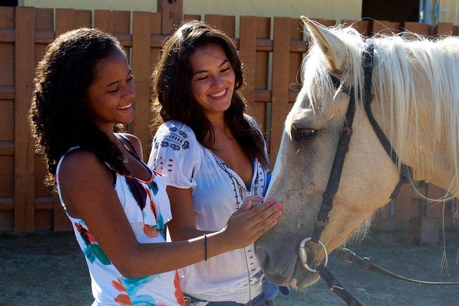 braco-stables-horseback-ride-swim-excursion-from-ocho-rios
