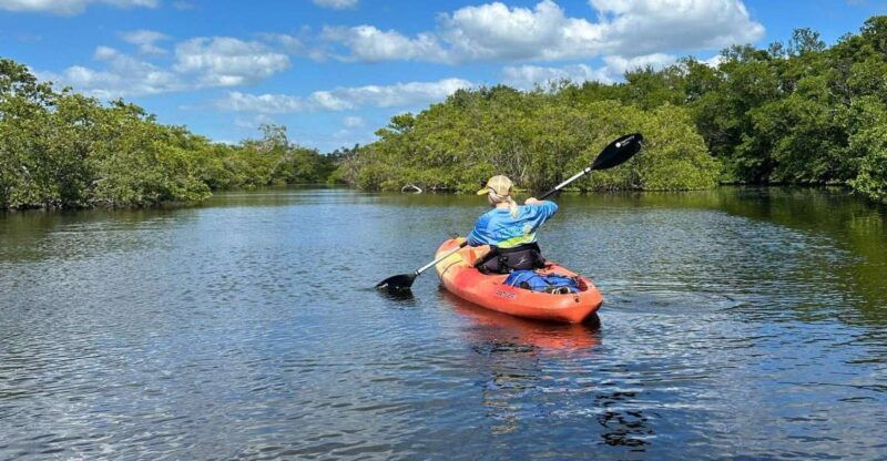 bradenton-anna-maria-island-guided-kayaking-manatee-tour
