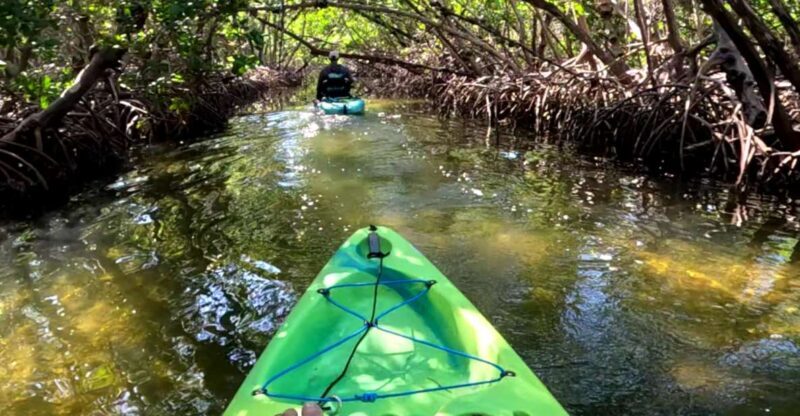 Bradenton: Guided Pedal Kayak Tour - An In-Depth Look at the Pedal Kayak Experience