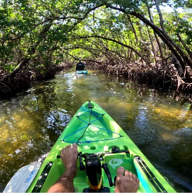 Bradenton: Guided Pedal Kayak Tour - Authentic Insights from Past Travelers