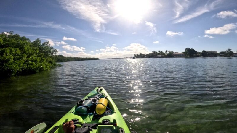 Bradenton: Guided Pedal Kayak Tour - The Sum Up: Is This Tour Worth Your Time?
