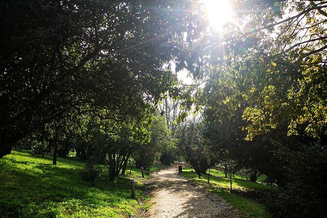 braga-and-guimaraes-private-tour-with-lunch