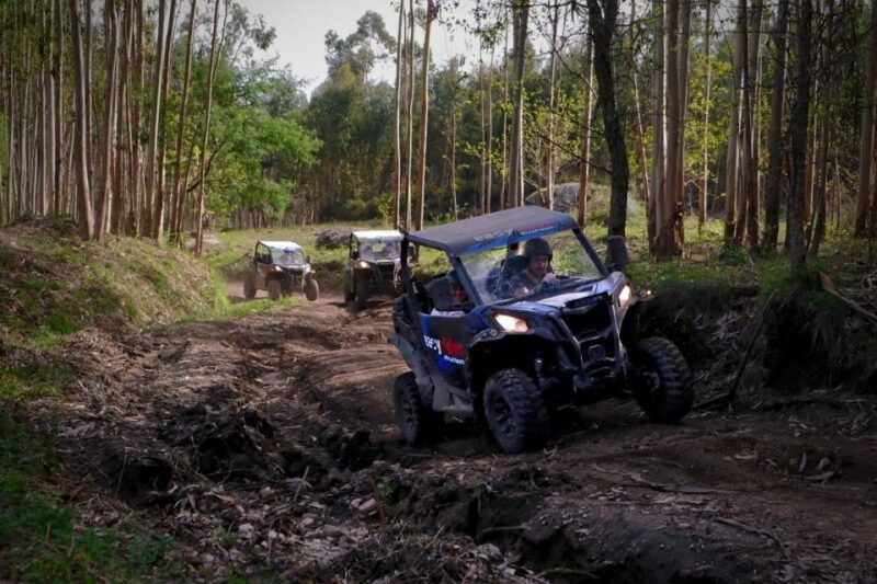 braga-off-road-buggy-tour