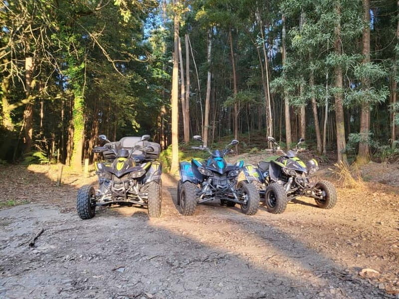 Braga: Quad bike excursion - The Sum Up