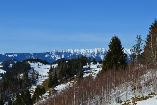 braila-to-bucharest-private-guided-transfer-car-and-driver