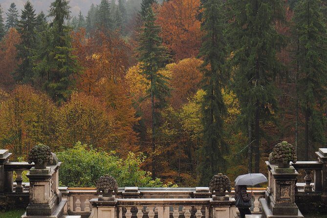 Bran Castle and Rasnov Fortress Tour from Brasov with Entrance Fees Included - Optional Peles Castle Visit - What’s Included and What’s Not