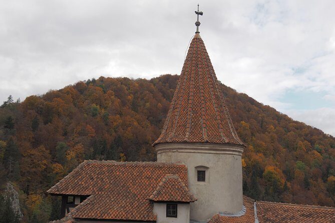 Bran Castle and Rasnov Fortress Tour from Brasov with Entrance Fees Included - Optional Peles Castle Visit - Who Is This Tour Best For?