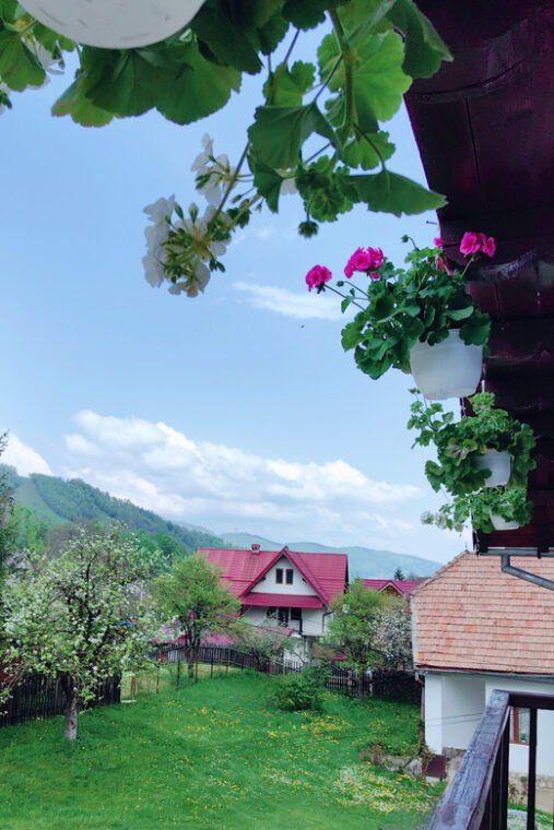 bran-rural-tour-with-local-food-accommodation-in-simon