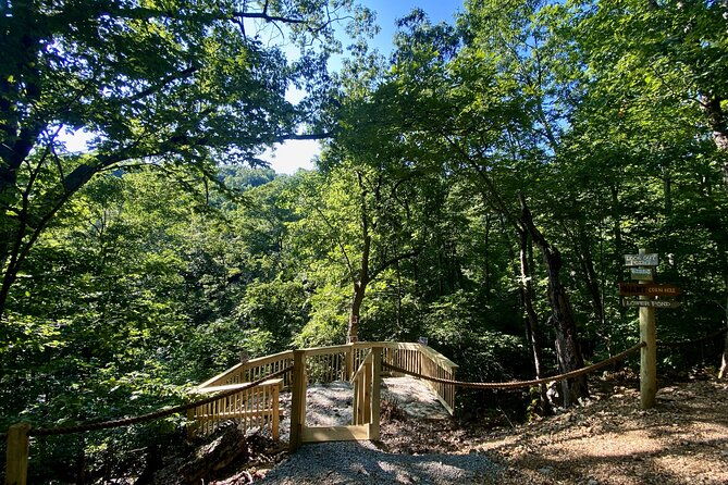 branson-cart-adventures