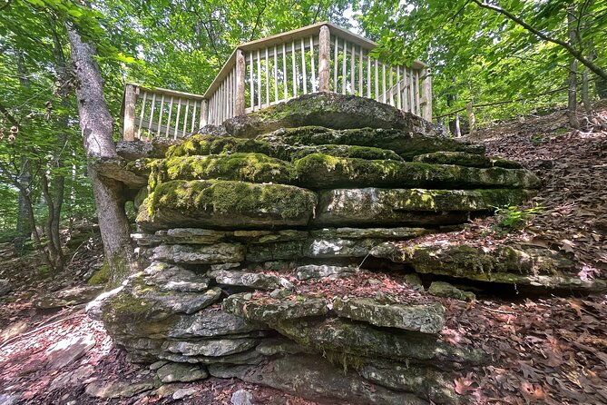 branson-cart-adventures