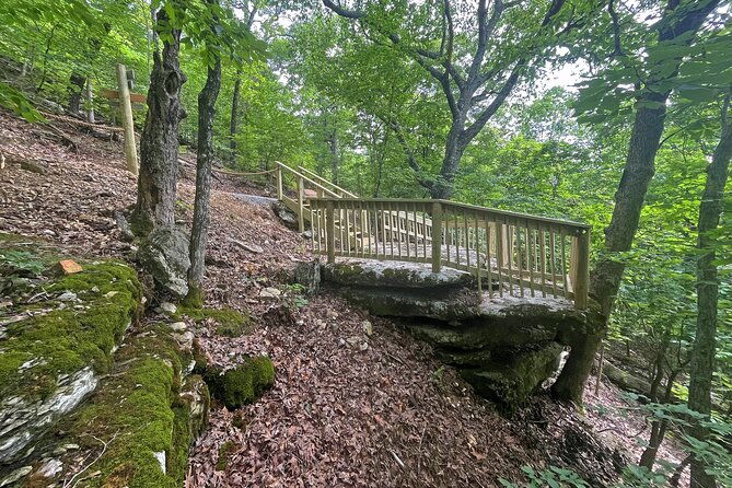 branson-cart-adventures