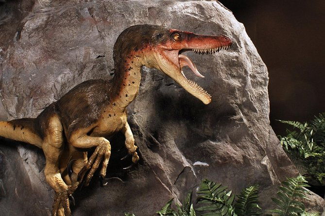branson-dinosaur-museum-admission-ticket-2