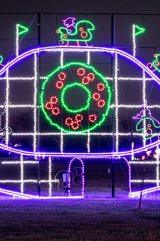Branson: Lights of Joy Christmas Drive-Thru - Who Should Consider This Experience?