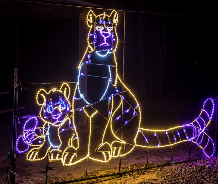 branson-lights-of-joy-christmas-drive-thru