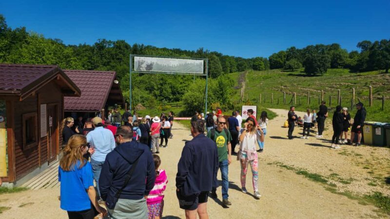 Braov: 3-Day Highlights of Transylvania Private Tour - FAQs