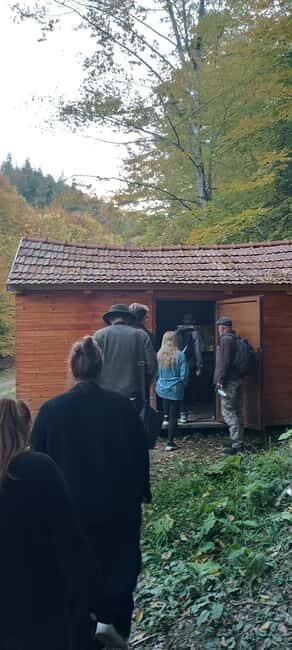 Braov: 4-Hour Bear Watching Tour in Carpathian Mountains - Transportation and Group Dynamics
