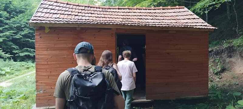 Braov: 4-Hour Bear Watching Tour in Carpathian Mountains - FAQ
